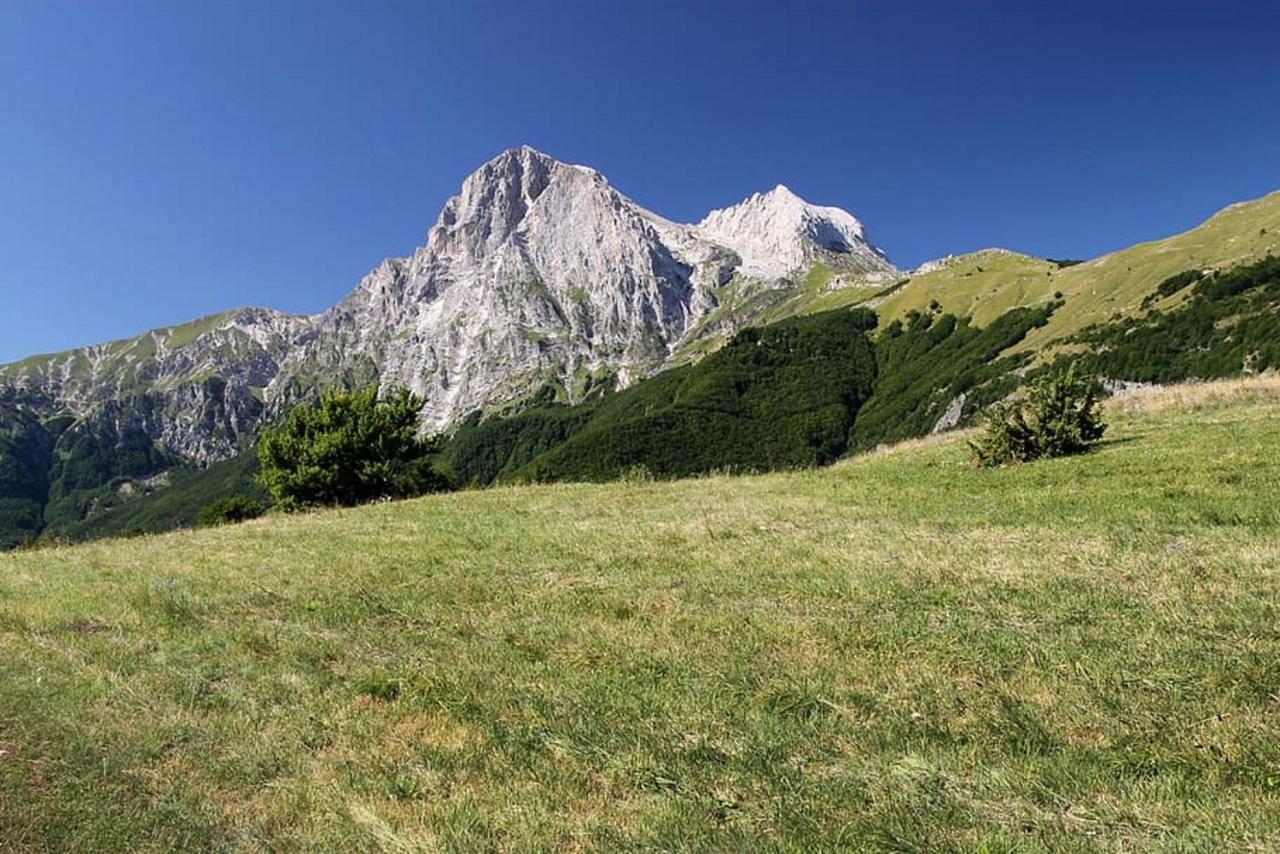 Complesso Turistico Aurora - Camere B&B Poggio Picenze Eksteriør bilde